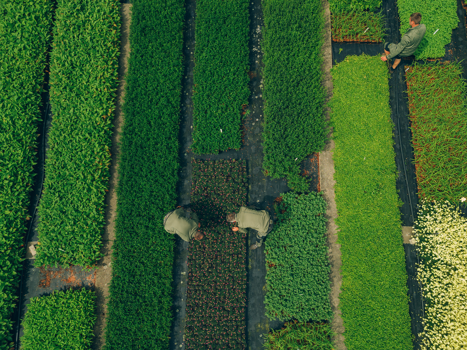 Foto van vacature bij Botanisk